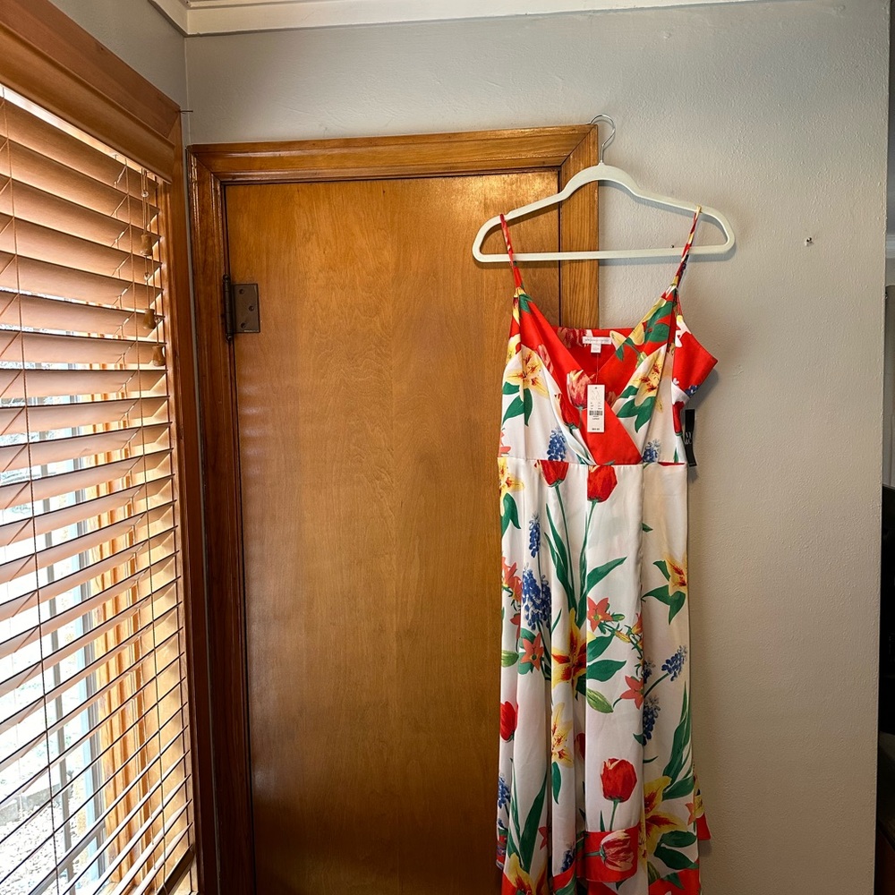 New York & Company Floral Maxi Dress in White, Red, Green